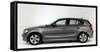 2011 BMW 118d-null-Framed Stretched Canvas
