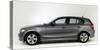 2011 BMW 118d-null-Stretched Canvas