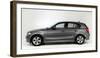 2011 BMW 118d-null-Framed Photographic Print