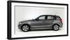 2011 BMW 118d-null-Framed Photographic Print