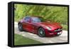 2011 Mercedes Benz AMG SLS-null-Framed Stretched Canvas