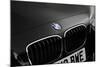 2013 BMW 118d-null-Mounted Photographic Print