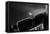 2013 BMW 118d-null-Framed Stretched Canvas
