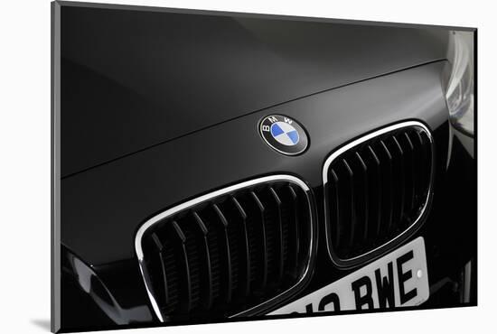 2013 BMW 118d-null-Mounted Photographic Print