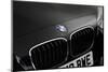 2013 BMW 118d-null-Mounted Photographic Print