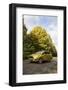 2013 Ford Fiesta Econetic-null-Framed Photographic Print