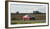 2013 Mazda 6 2.2D Sport Nav-null-Framed Photographic Print