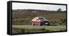 2013 Mazda 6 2.2D Sport Nav-null-Framed Stretched Canvas