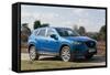 2013 Mazda CX-5-null-Framed Stretched Canvas