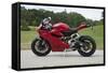 2014 Ducati 899 Panigale-null-Framed Stretched Canvas