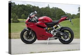 2014 Ducati 899 Panigale-null-Stretched Canvas