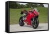 2014 Ducati 899 Panigale-null-Framed Stretched Canvas