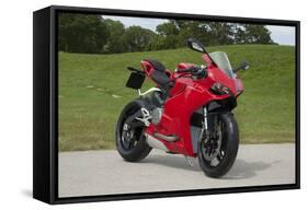 2014 Ducati 899 Panigale-null-Framed Stretched Canvas