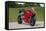 2014 Ducati 899 Panigale-null-Framed Stretched Canvas