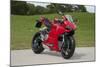 2014 Ducati 899 Panigale-null-Mounted Photographic Print