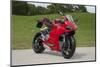 2014 Ducati 899 Panigale-null-Mounted Photographic Print