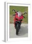 2014 Ducati 899 Panigale-null-Framed Photographic Print