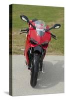 2014 Ducati 899 Panigale-null-Stretched Canvas