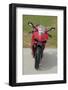 2014 Ducati 899 Panigale-null-Framed Photographic Print