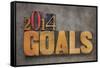 2014 Goals - New Year Resolution-PixelsAway-Framed Stretched Canvas