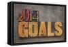 2014 Goals - New Year Resolution-PixelsAway-Framed Stretched Canvas