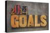 2014 Goals - New Year Resolution-PixelsAway-Stretched Canvas