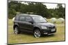 2014 Skoda Yeti SE-null-Mounted Photographic Print