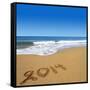 2014 Written On Sandy Beach-viperagp-Framed Stretched Canvas