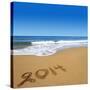 2014 Written On Sandy Beach-viperagp-Stretched Canvas