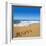 2014 Written On Sandy Beach-viperagp-Framed Art Print