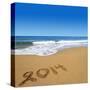 2014 Written On Sandy Beach-viperagp-Stretched Canvas