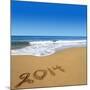 2014 Written On Sandy Beach-viperagp-Mounted Art Print