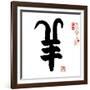 2015 is Year of the Goat,Chinese Calligraphy Yang. Translation: Sheep, Goat-kenny001-Framed Photographic Print