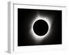 2017 Total Solar Eclipse-null-Framed Premium Photographic Print