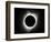 2017 Total Solar Eclipse-null-Framed Photographic Print