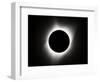 2017 Total Solar Eclipse-null-Framed Photographic Print