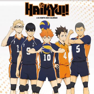 Haikyu!! To the Top (Season 4) Complete Collection