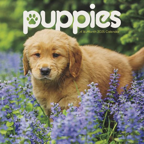 Wall Calendar, , large