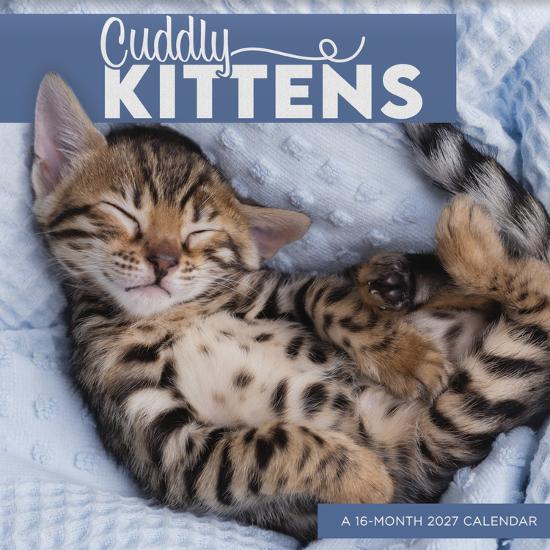 Wall Calendar, , large