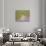 20COF-Pierre Henri Matisse-Giclee Print displayed on a wall