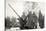 20MM Flak30 German World War II Anti-Aircraft Gun-null-Stretched Canvas