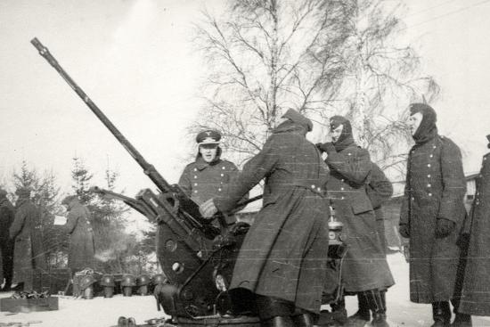 Photographic Print, , large