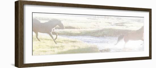 212-Dan Ballard-Framed Photographic Print