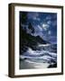 2154TC-Casay Anthony-Framed Giclee Print