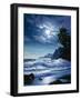 2155TC-Casay Anthony-Framed Giclee Print