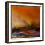 #216-Willy Marthinussen-Framed Photographic Print