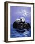 2173TC-Casay Anthony-Framed Giclee Print