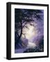 2199T0-Casay Anthony-Framed Giclee Print