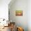 21COF-Pierre Henri Matisse-Stretched Canvas displayed on a wall