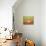 21COF-Pierre Henri Matisse-Mounted Giclee Print displayed on a wall
